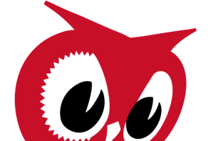 Minimarket owl