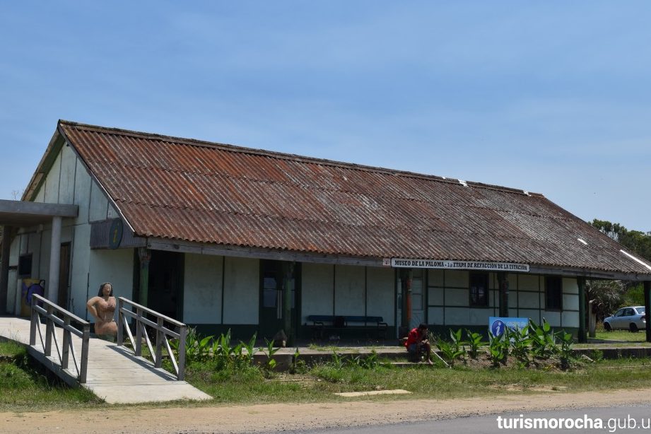 museo la paloma