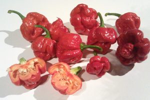 Paprika Trinidad