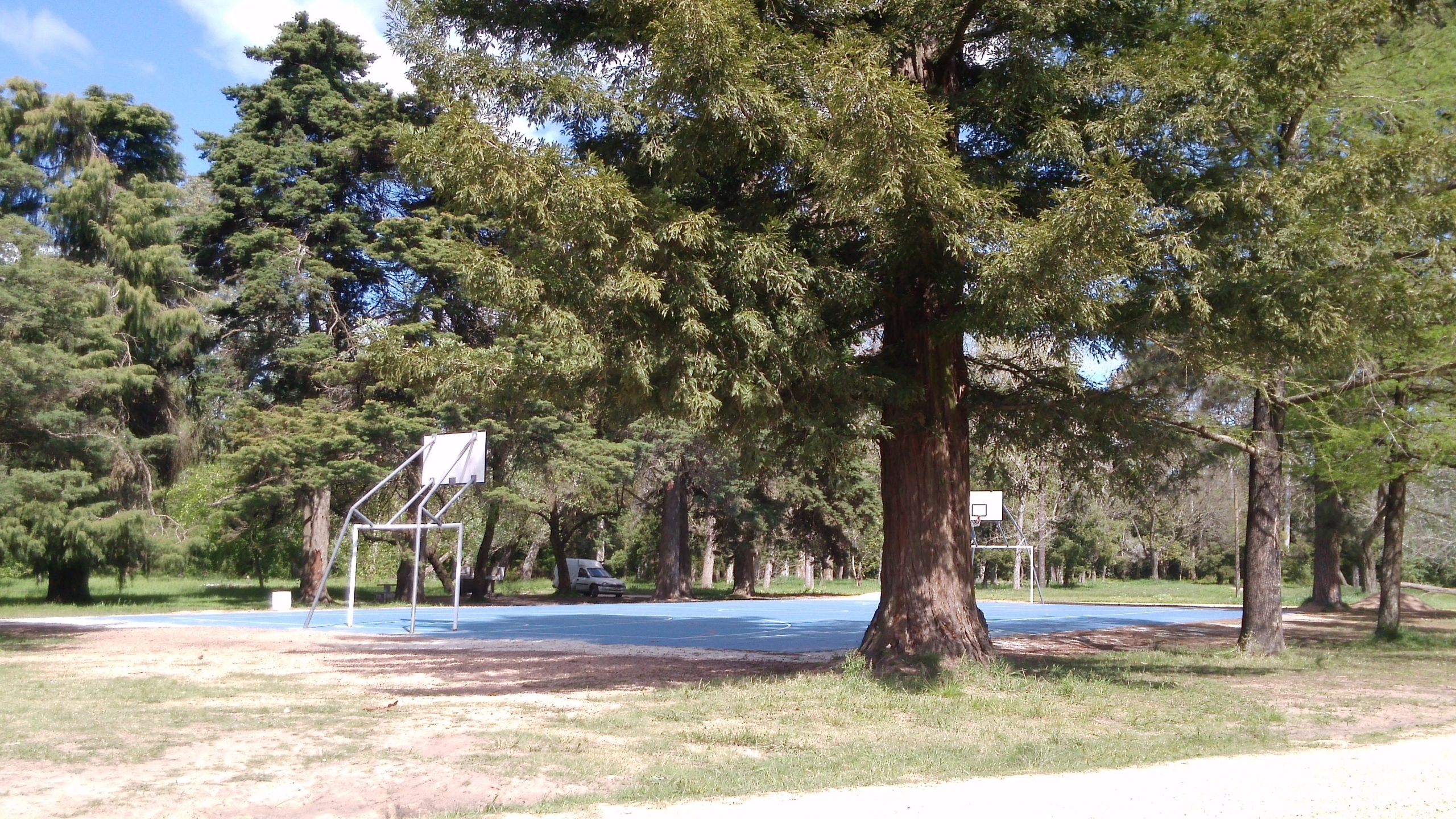 parque artigas de sauce scaled