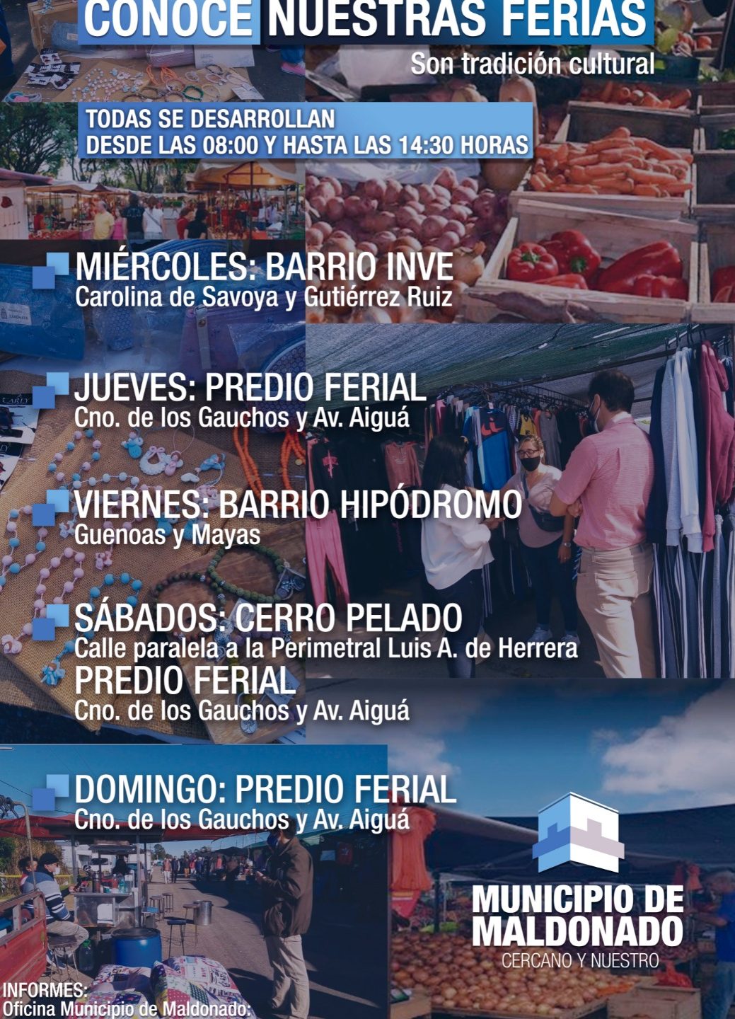 Predio ferial miércoles Maldonado 1 predio ferial miercoles maldonado