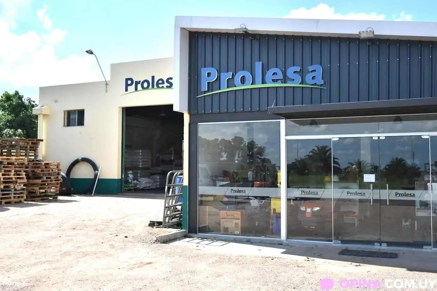 prolesa cardona
