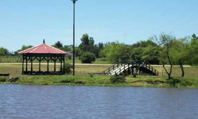 Sarandí Grande 1 sarandi grande